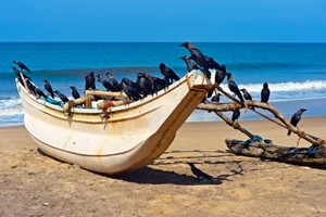 Day 1: Arrival in Sri Lanka – Negombo