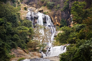 Day 7: Horton Plains National Park