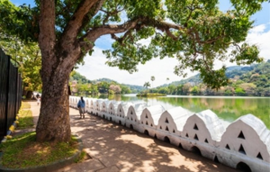 Sri lanka holiday package 2026