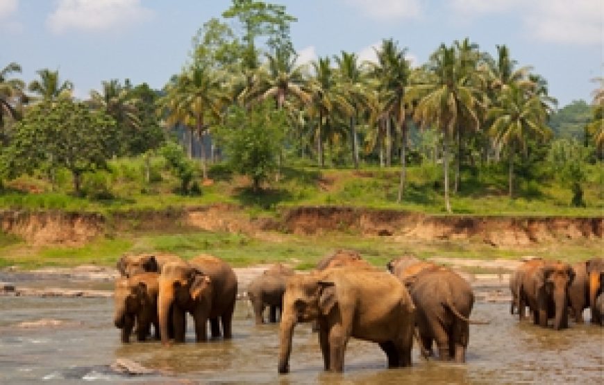 Sri lanka holiday package 2026