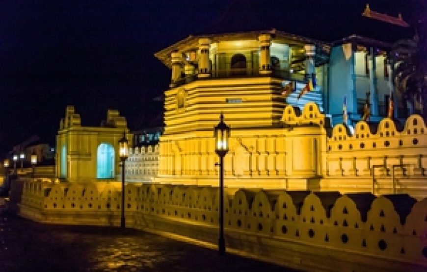 Sri lanka holiday package 2026