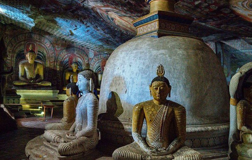 Wildlife and Nature Tour 10-Day