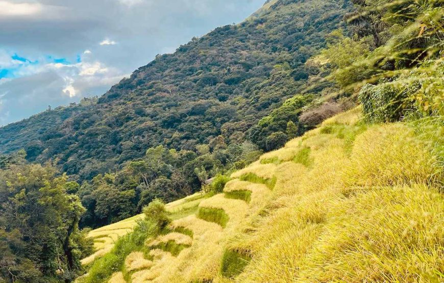 Set off on the Beauty of Sri Lanka