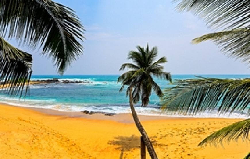 Grand Tour of Sri Lanka