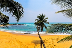Days 10–11: Mirissa Beach