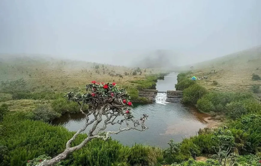 Adventure in Sri Lanka