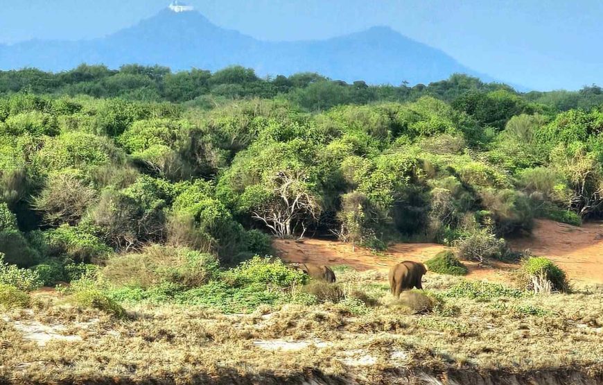 Adventure in Sri Lanka