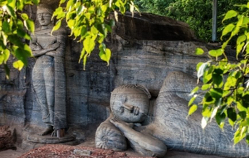 Grand Tour of Sri Lanka