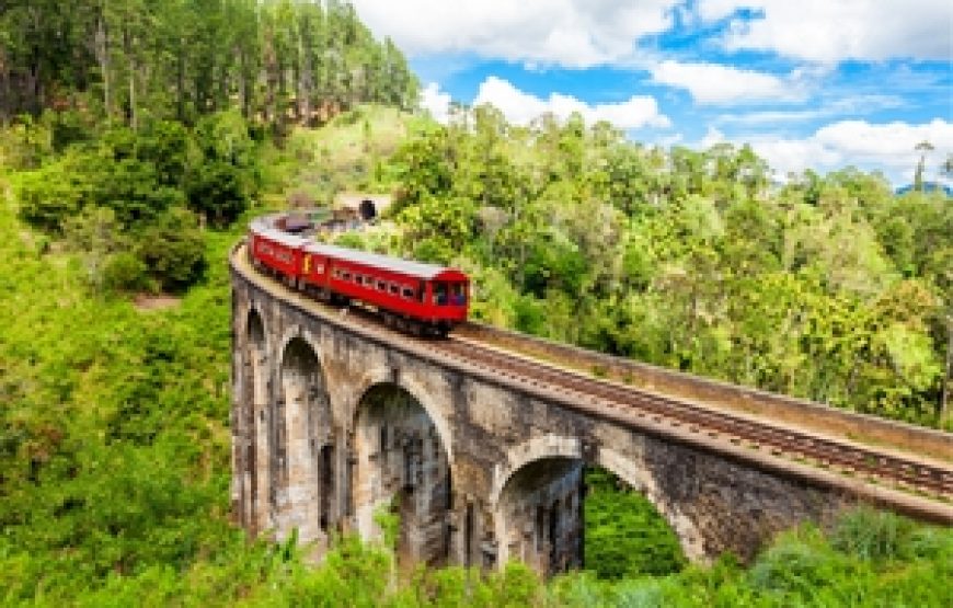 Grand Tour of Sri Lanka