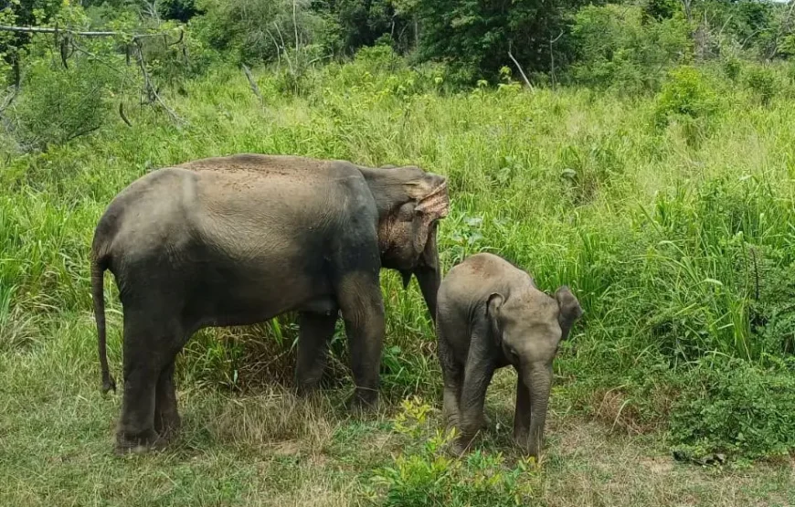Adventure in Sri Lanka