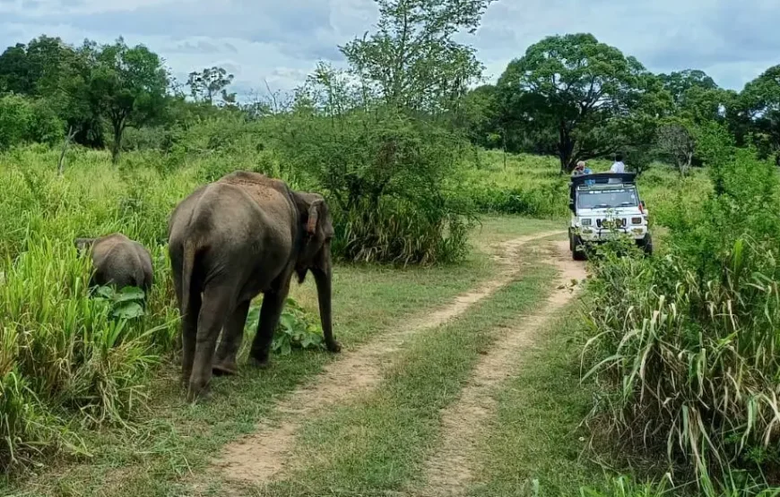 Adventure in Sri Lanka