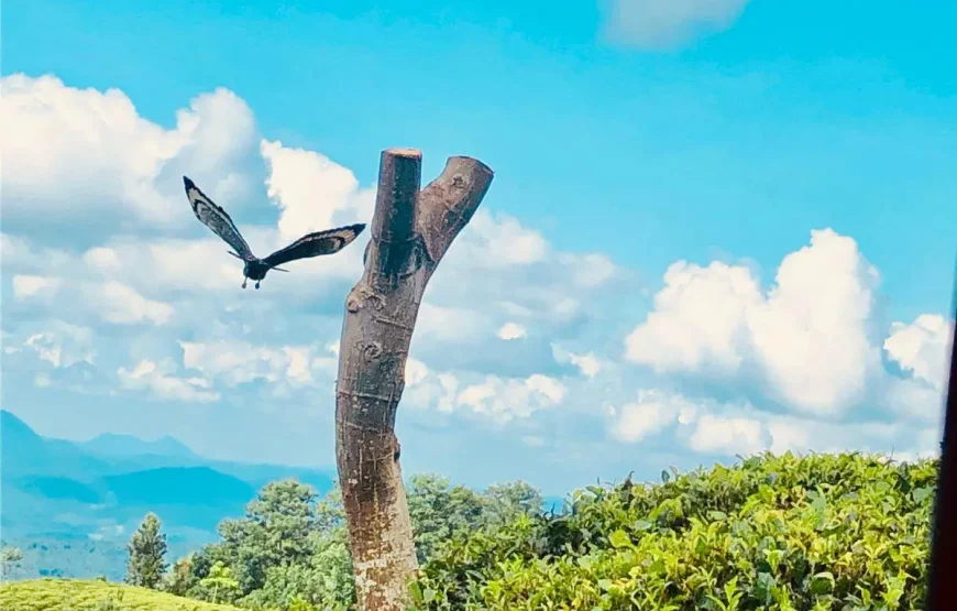 Adventure in Sri Lanka