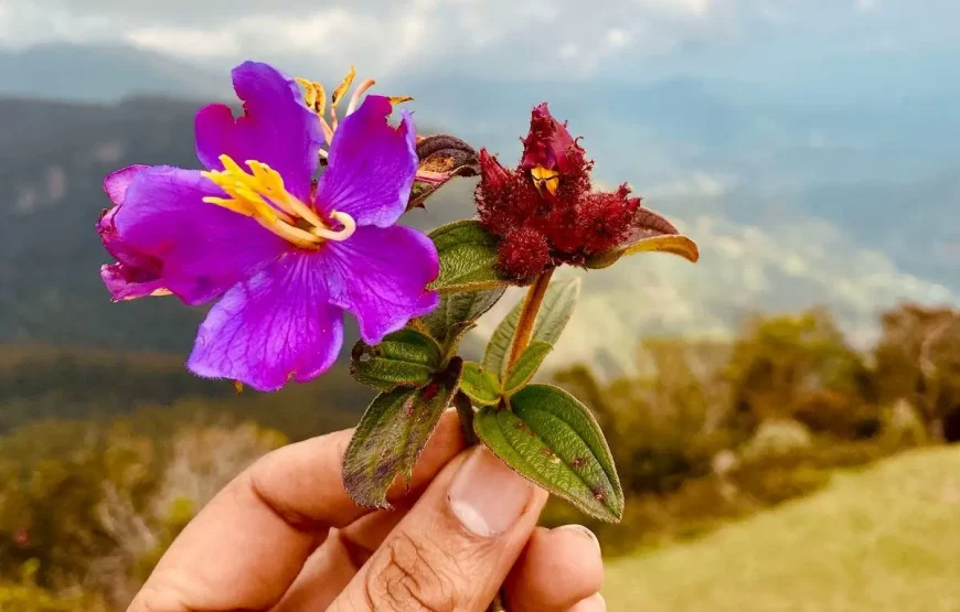 Adventure in Sri Lanka